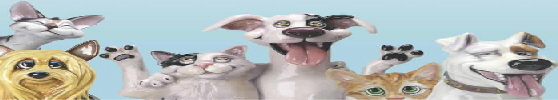 Pets banner