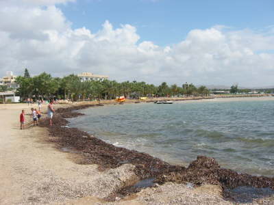Bay