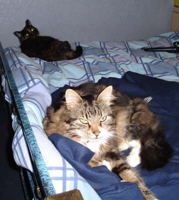 Boris & Pepper
