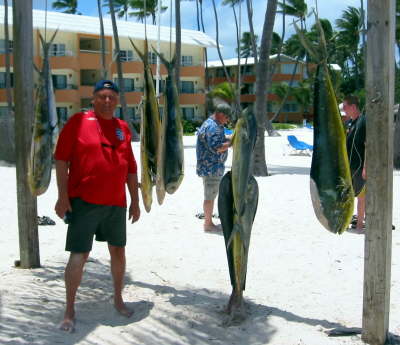 Dave Fisherman