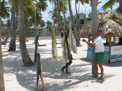 Displaying the catch