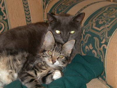 Duo