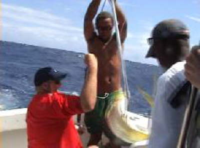 Fish landed