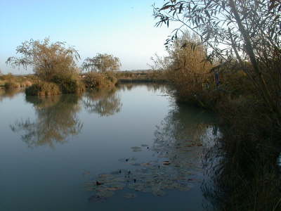 GU-lake1
