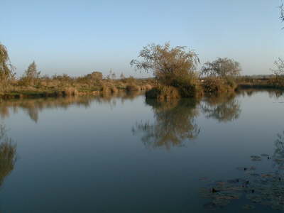 GU-lake2