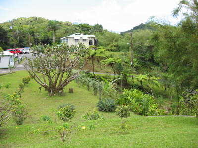 Garden - Gren