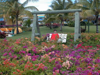 Garden - St L