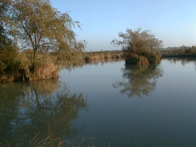Gu-lake3