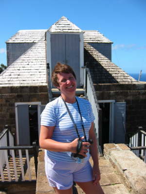 H at Lookout - Ant