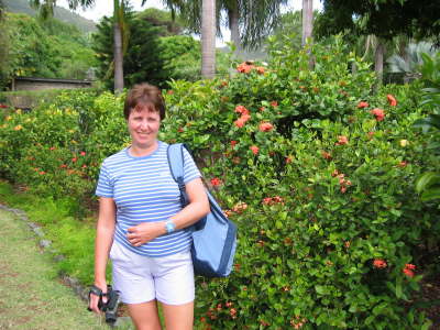 Hils - Tort BVI