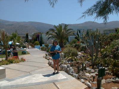 Hils in garden