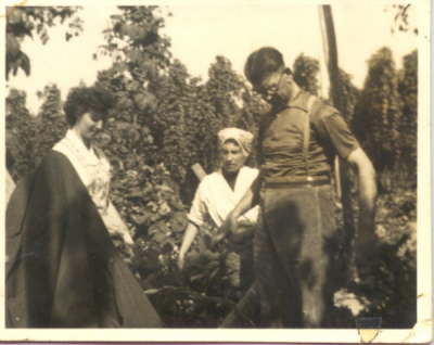Hop picking