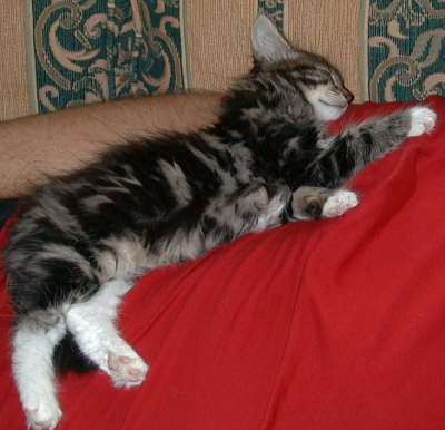 Its a hard life
