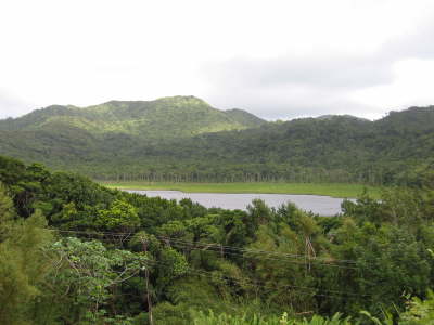 Lake - Gren