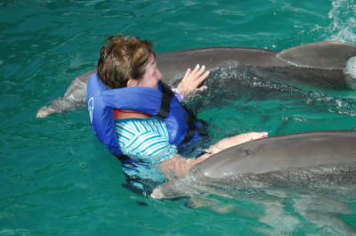 Meet the dolphins