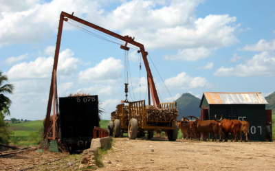 Old & New Harvesting