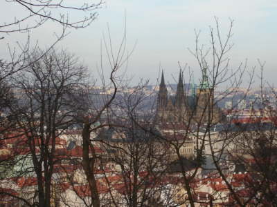 On the hill