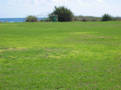 Playing Fields