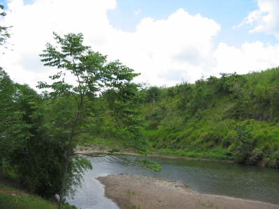 River DR style
