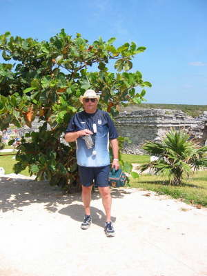 Tulum site