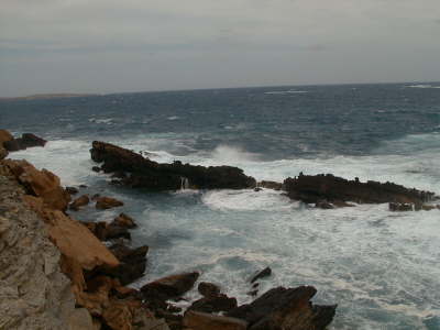 Wild sea