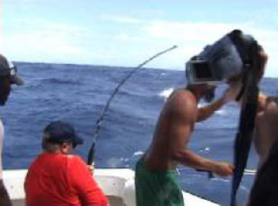 fighting the fish