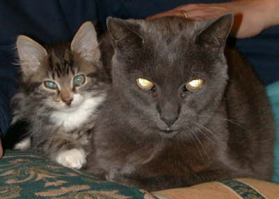 little & large