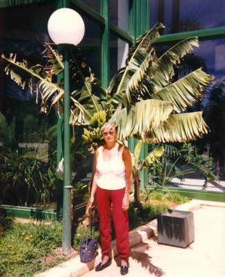 palm