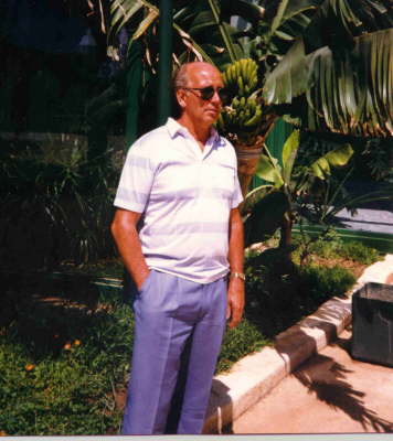 palm2
